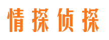 拜城外遇调查取证